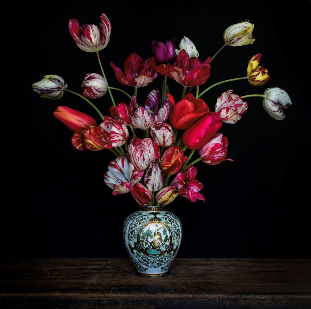 Kunst: Tulip Explosion van kunstenaar Iris Gonzalez