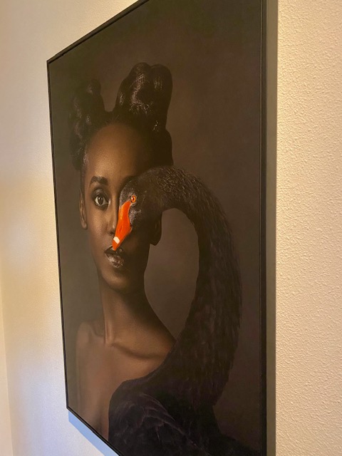 Kunst: Black Beauty van kunstenaar Gert Kist