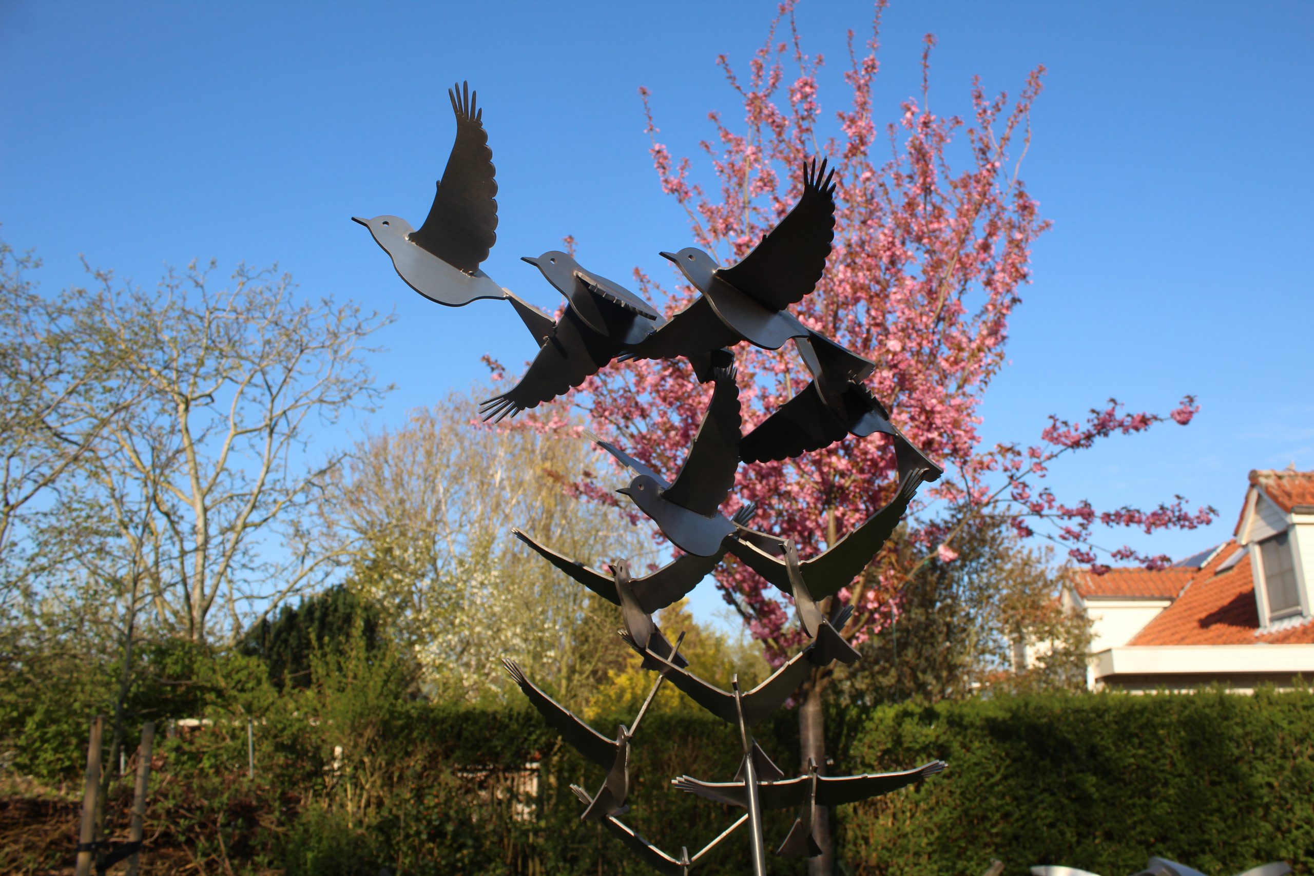 Kunst: Vogelvlucht van kunstenaar Jeroen Stok