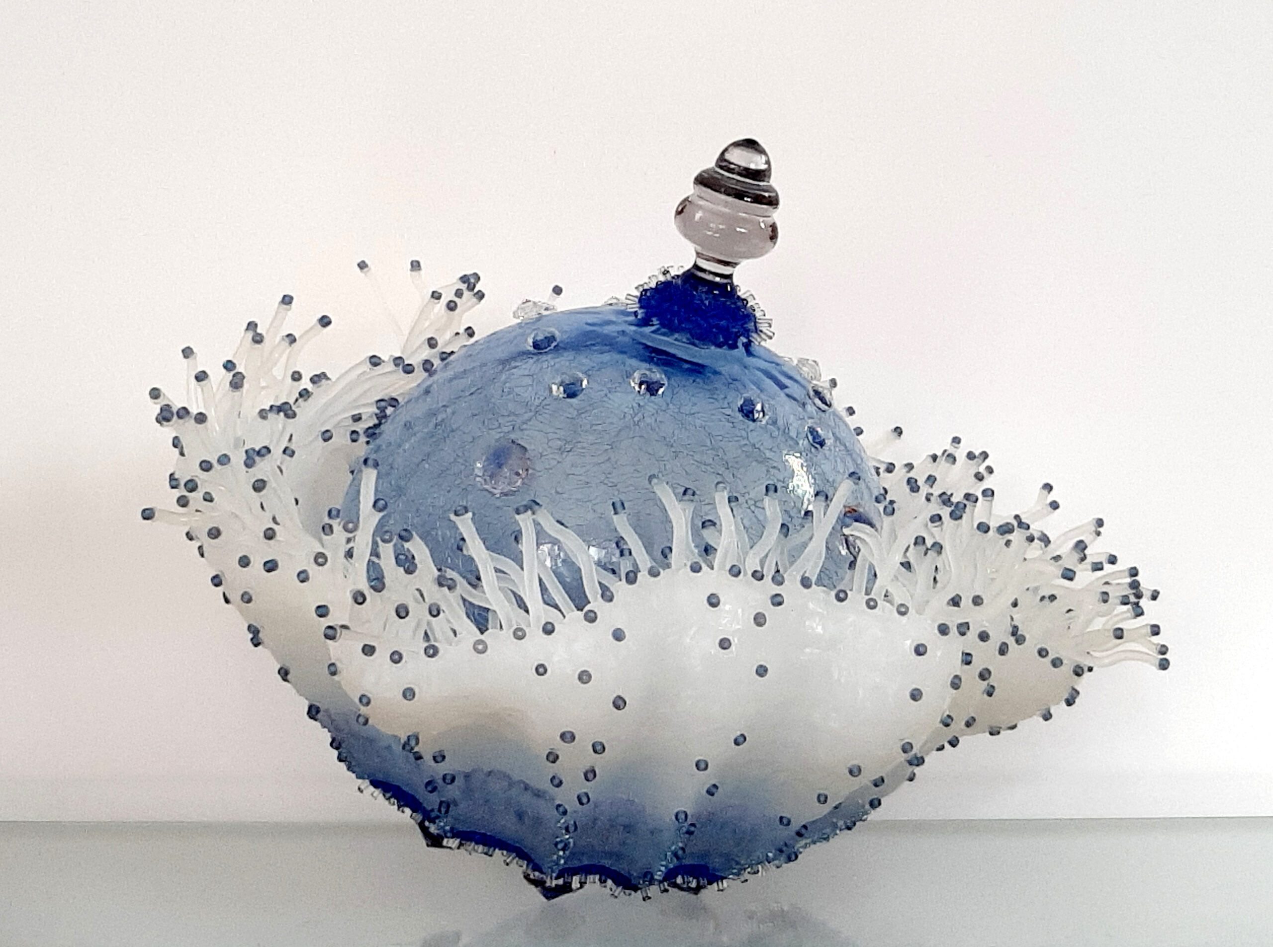 Kunst: bulb Anemone van kunstenaar Janine C. Schimkat