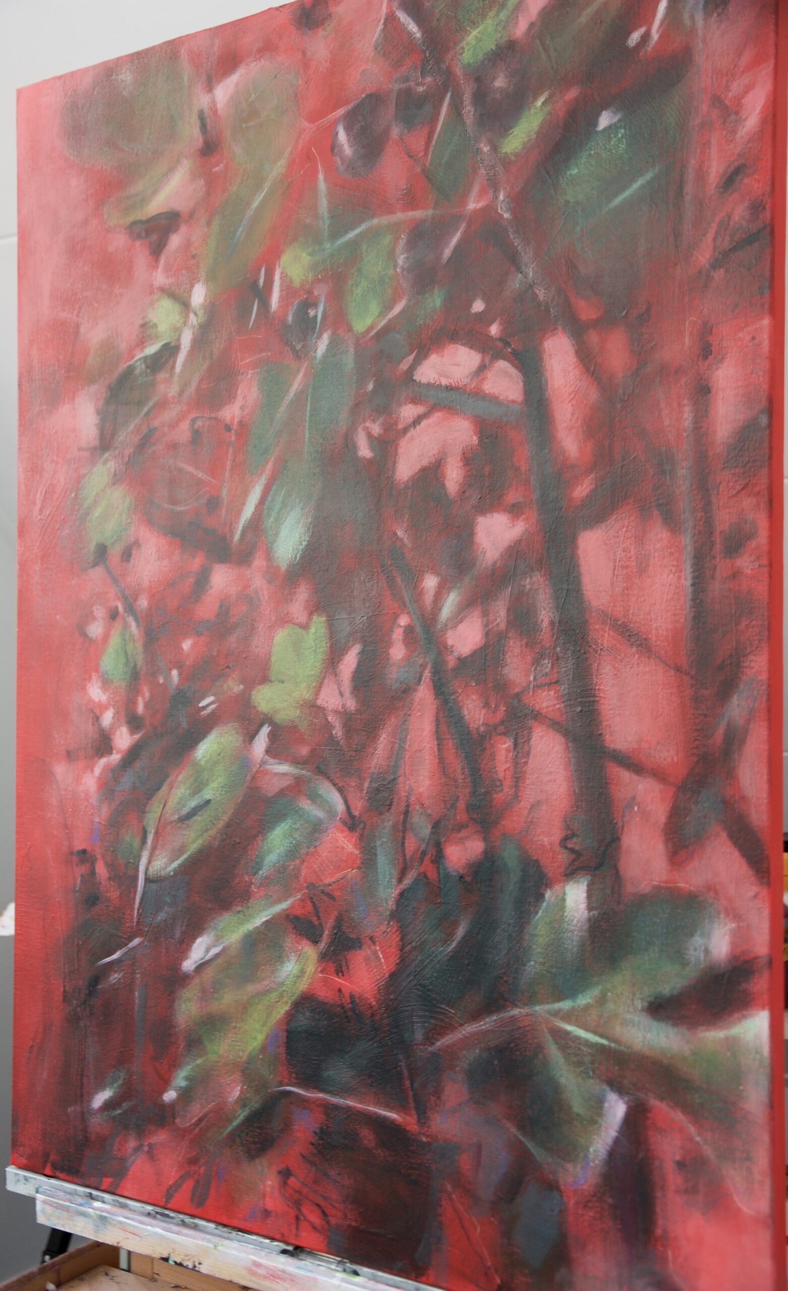 Kunst: ‘Red Fig’ van kunstenaar Coby Schot