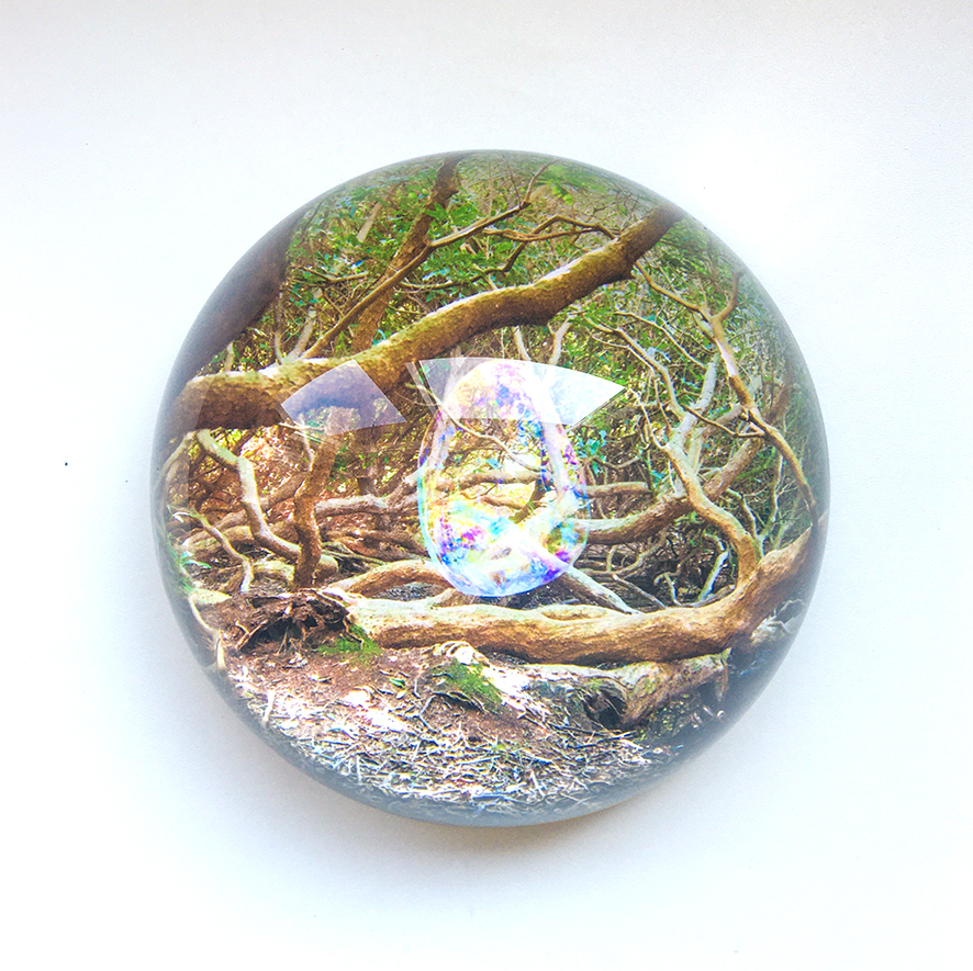 Kunst: glass globe #7 van kunstenaar Noortje Haegens