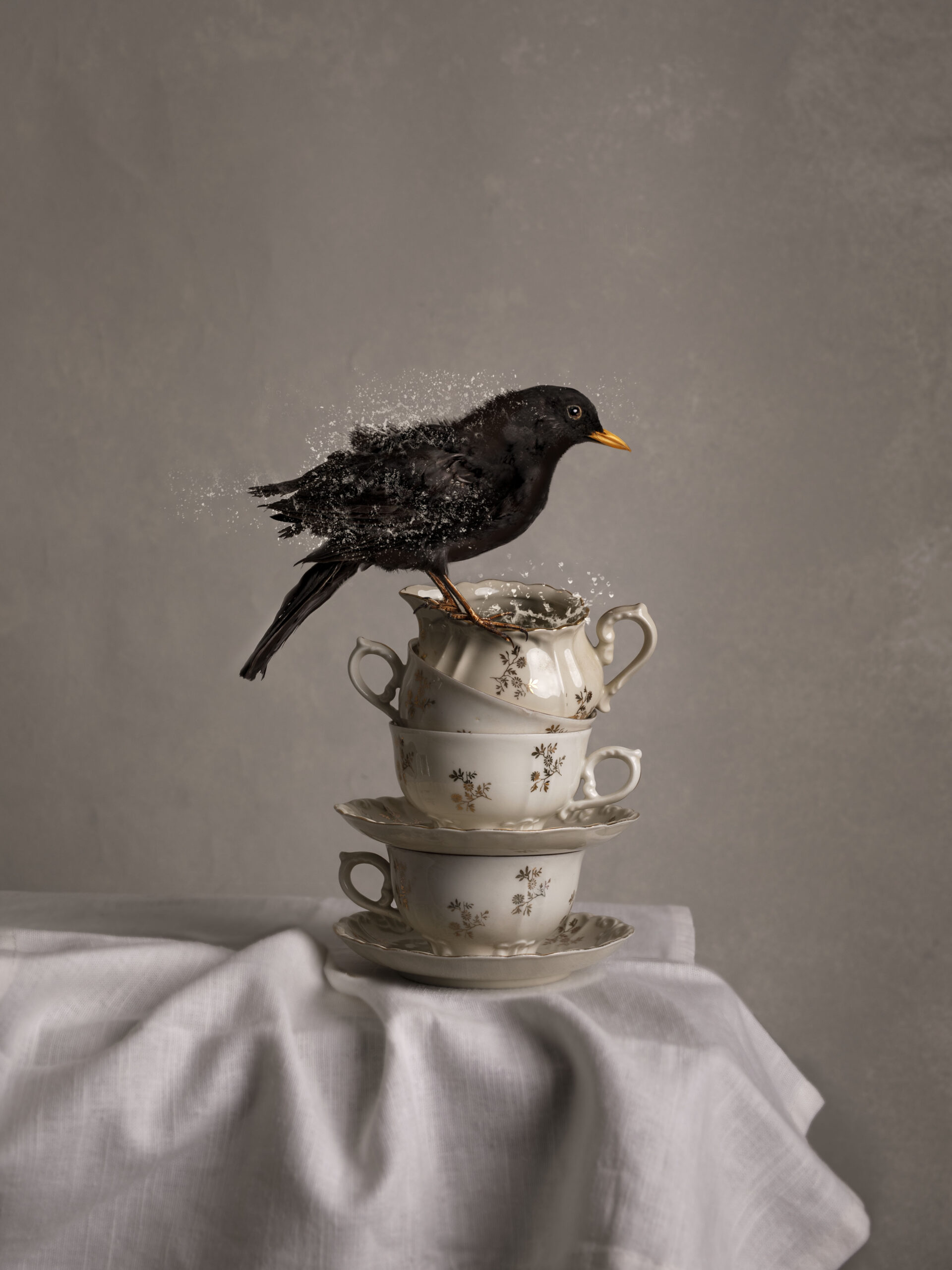 Kunst: Blackbird van kunstenaar Kaat Stieber