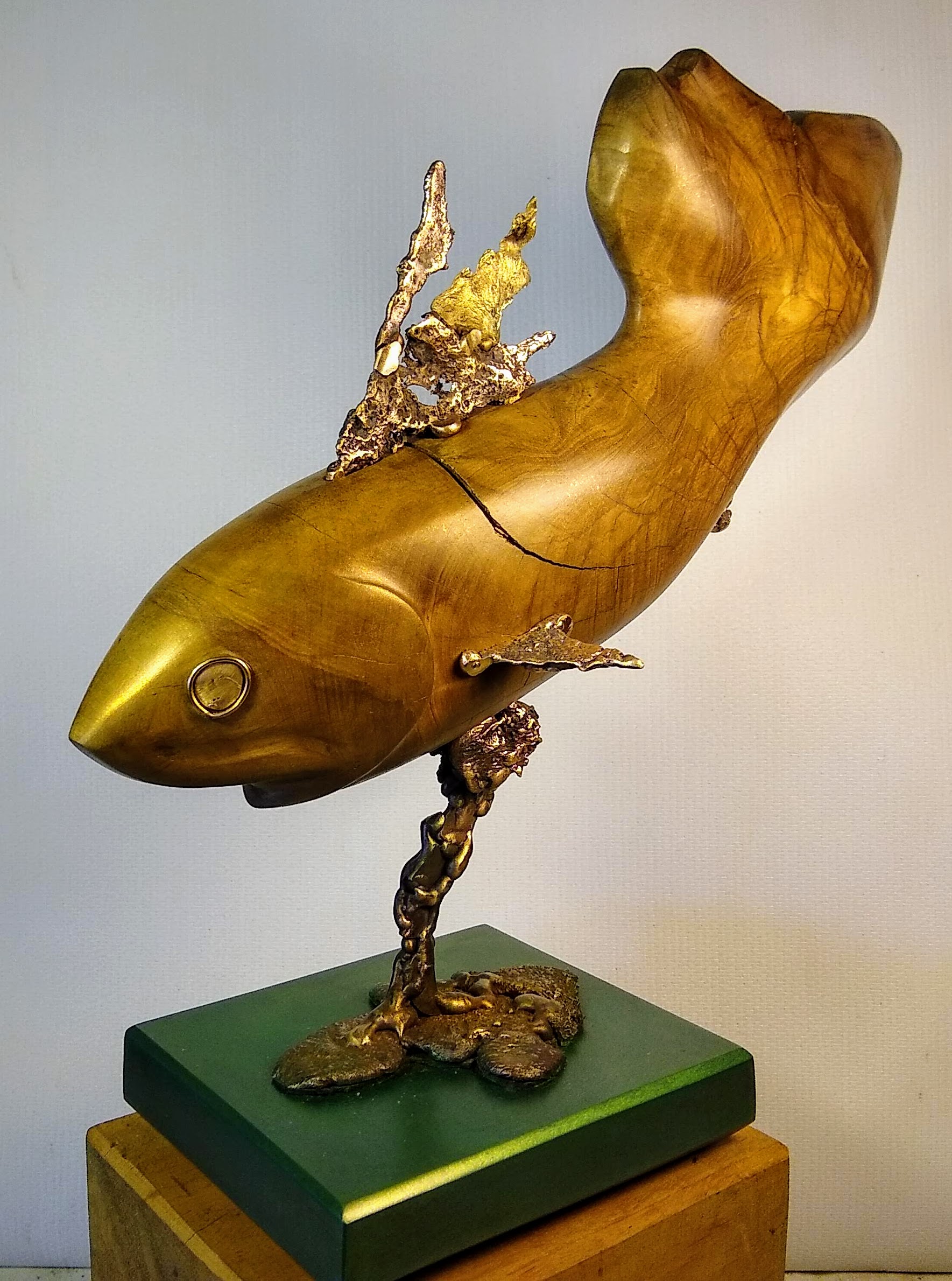 Kunst: Fish O (Olive) van kunstenaar Eric van Wattum