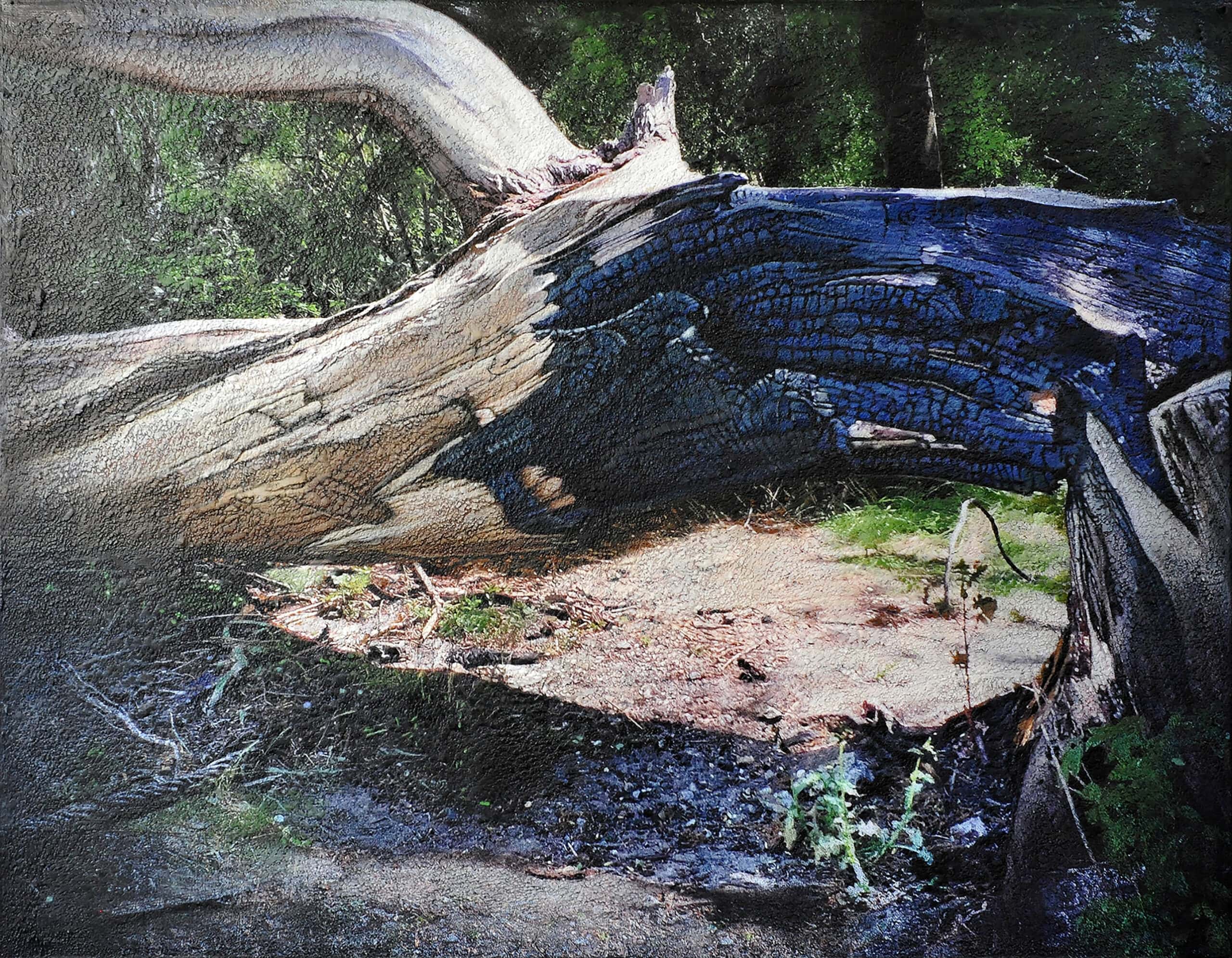 Kunst: Charred tree Brienenoord island van kunstenaar Karin Vermeer