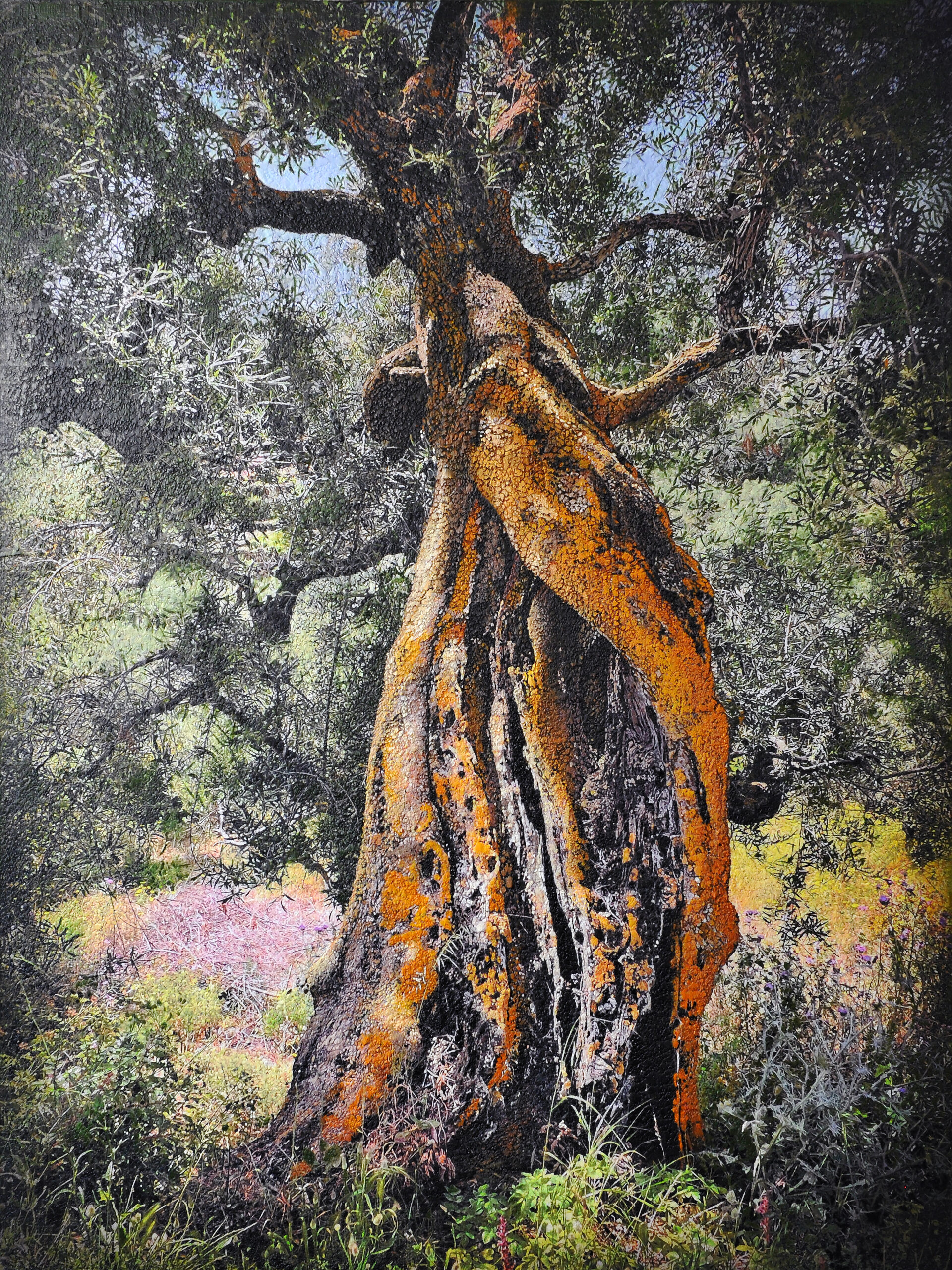 Kunst: Olive tree, Kerion, Zakintos van kunstenaar Karin Vermeer