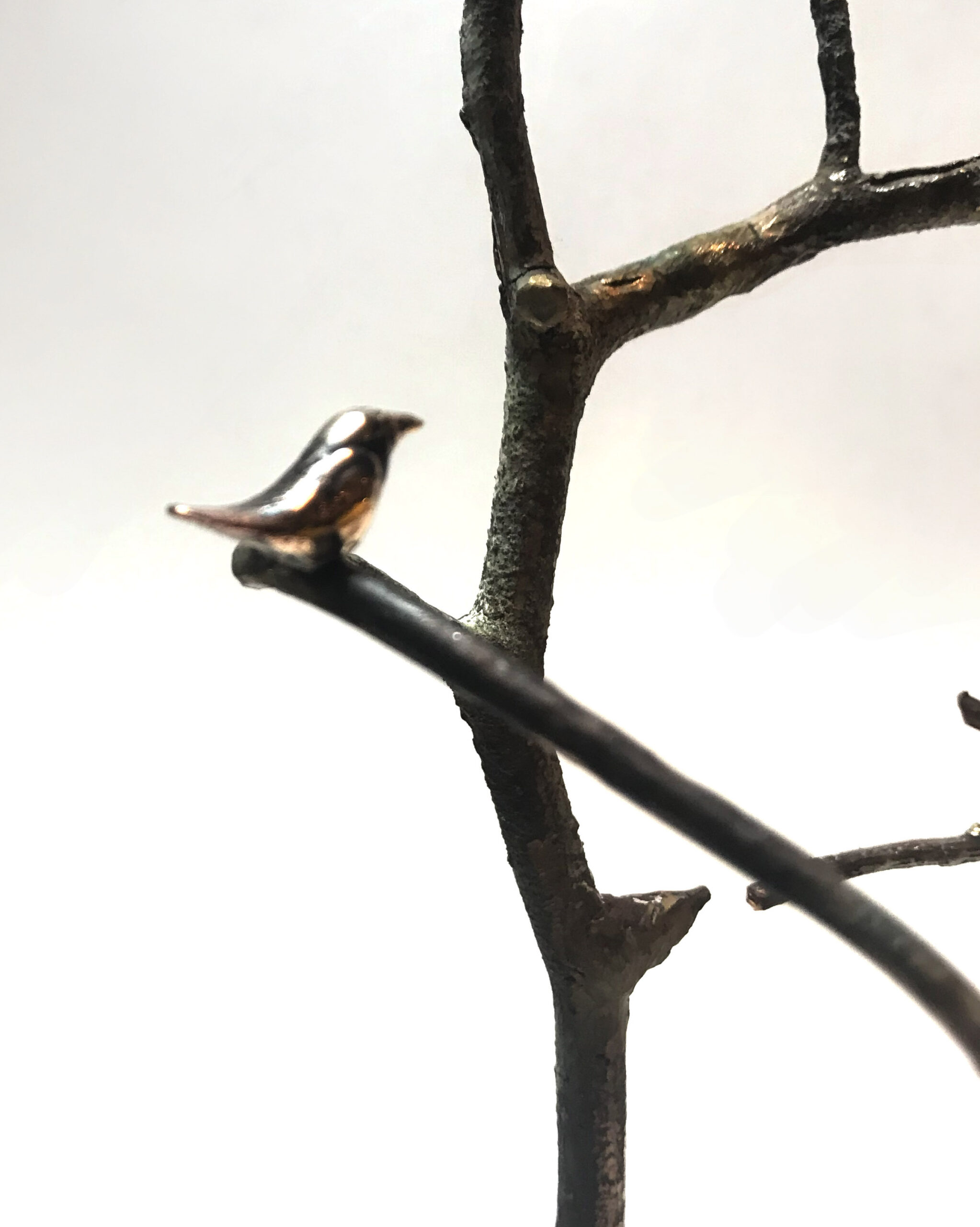 Kunst: boompjes met vogeltje van kunstenaar Tonny de  Brouwer