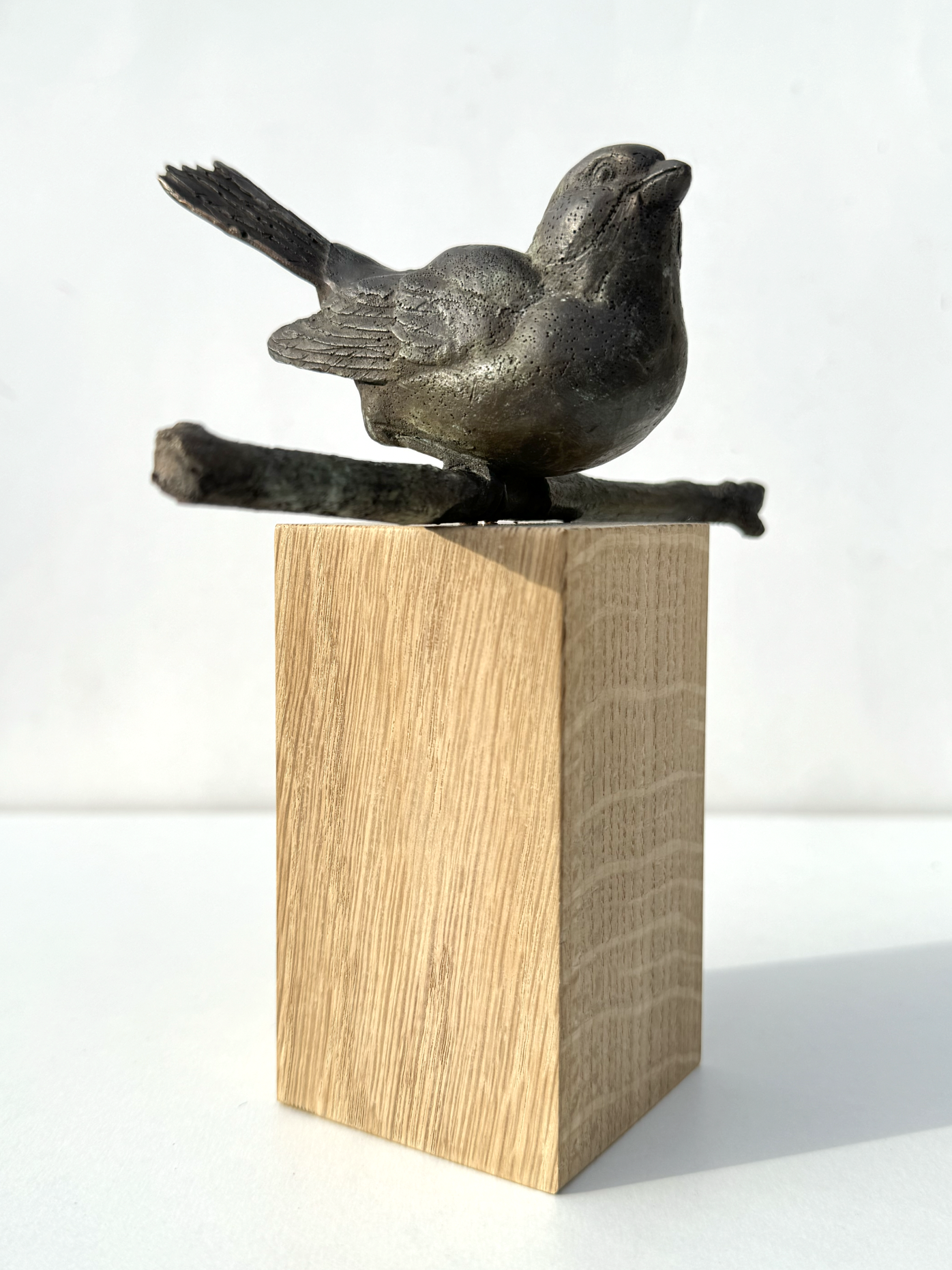 Kunst: vogel m ‘zittend op tak’ van kunstenaar Tonny de  Brouwer