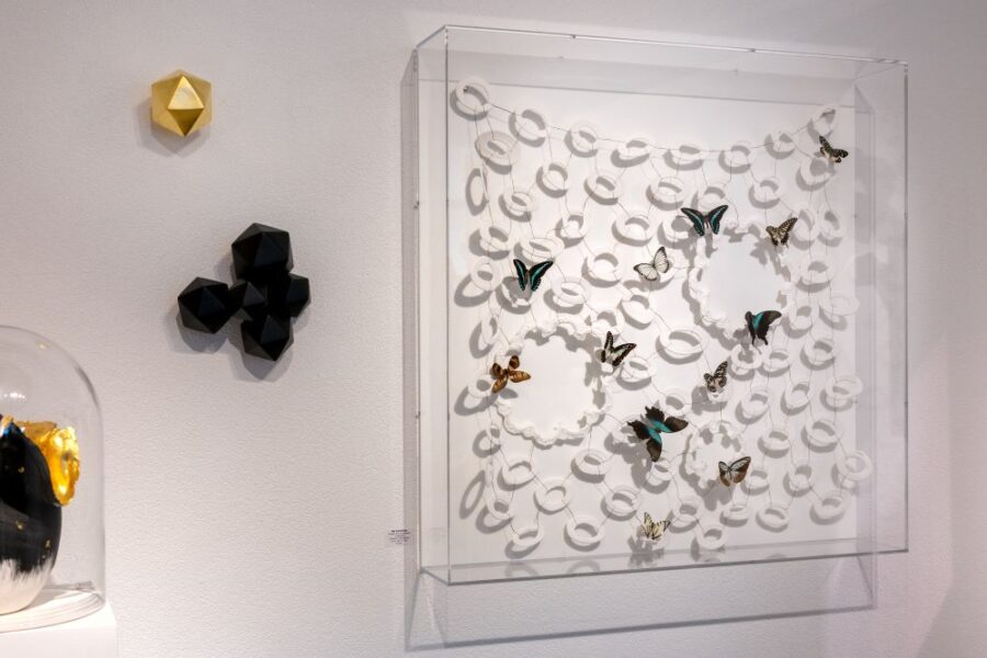Kunst: Vlinders met wit porselein in plexiglas van kunstenaar Mo Cornelisse