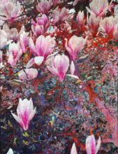Kunst: magnolia versus hazel van kunstenaar Karin Vermeer