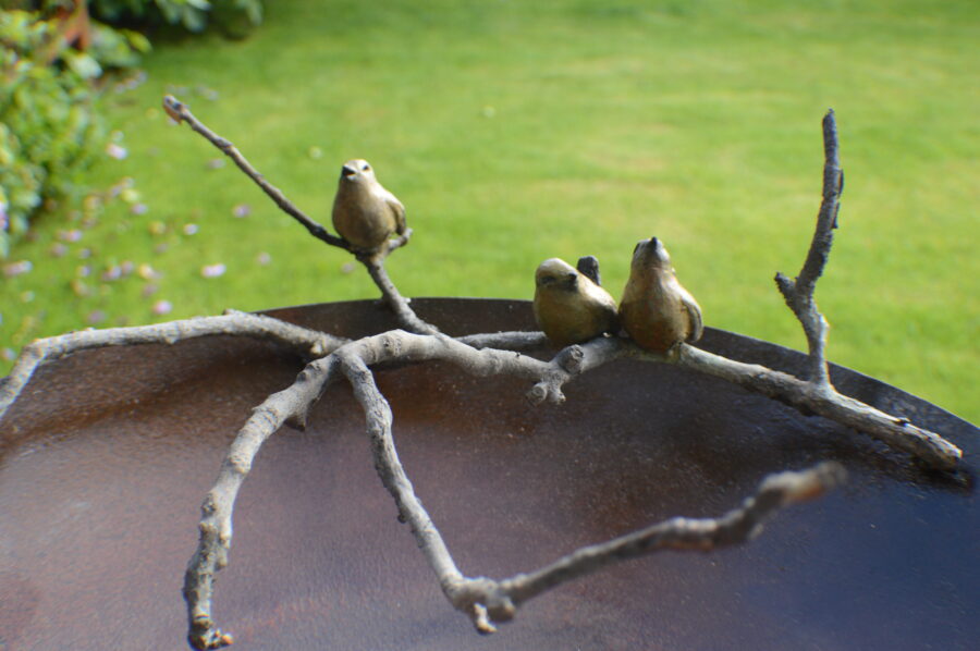 Kunst: water dish 3 wrens van kunstenaar Chris Gadiot