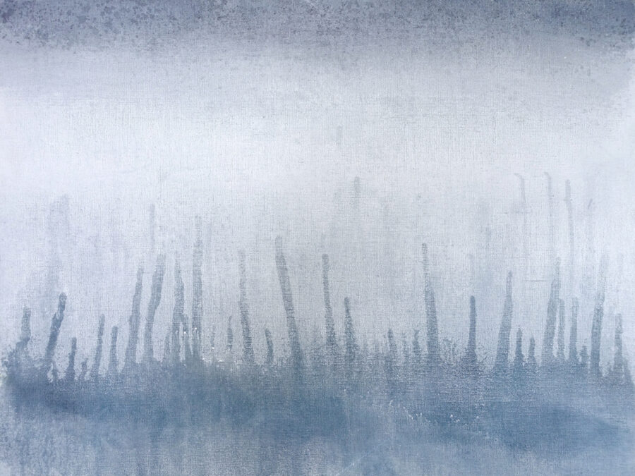 Kunst: Misty Fields van kunstenaar Geeske van de Molengraft