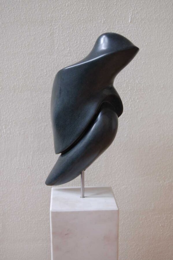 Kunst: Free van kunstenaar Els Grootaers
