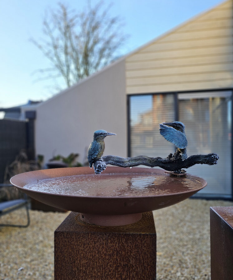 Kunst: Kingfishers on water scale van kunstenaar Chris Gadiot