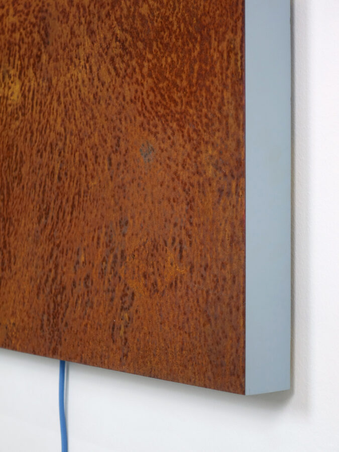 Kunst: Morning Glory van kunstenaar Geeske van de Molengraft