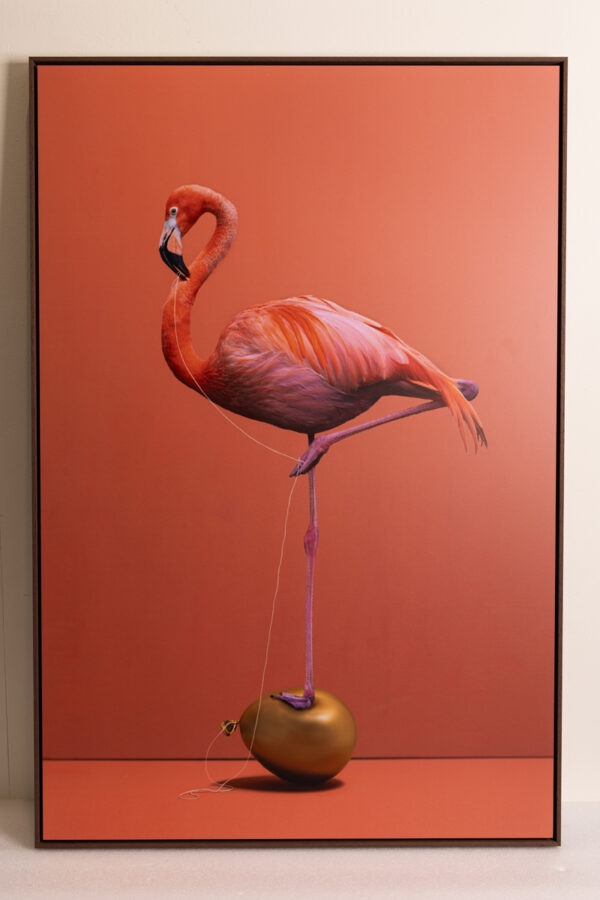 Kunst: Flamingo van kunstenaar Kaat Stieber