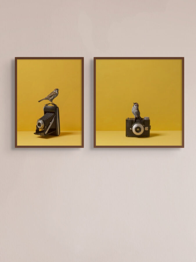 Kunst: Snap van kunstenaar Kaat Stieber
