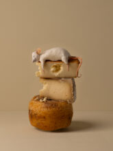 Kunst: Cheesy van kunstenaar Kaat Stieber