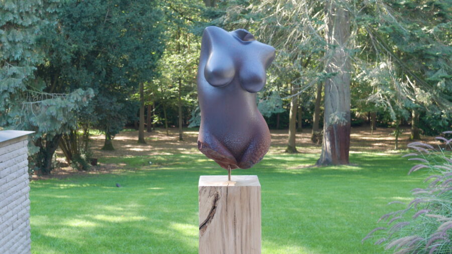 Kunst: Latina van kunstenaar Angelo Moyano