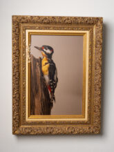 Kunst: Pecker 2.0 van kunstenaar Kaat Stieber