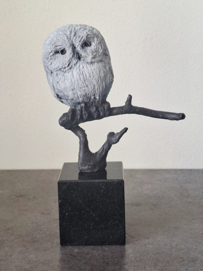 Kunst: Sneeuwuiltje op tak van kunstenaar Tina Lintvelt