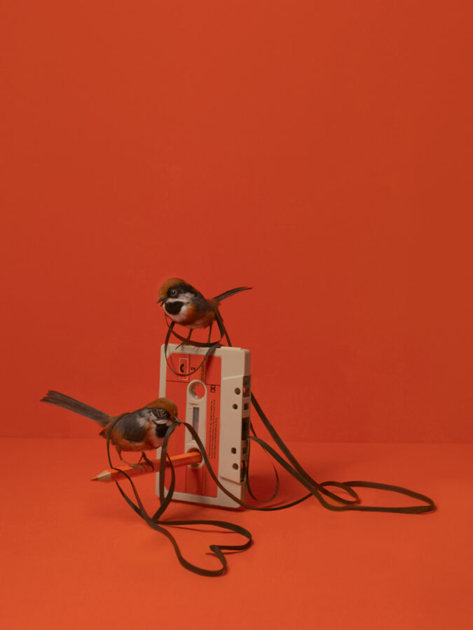 Kunst: Tape Act van kunstenaar Kaat Stieber