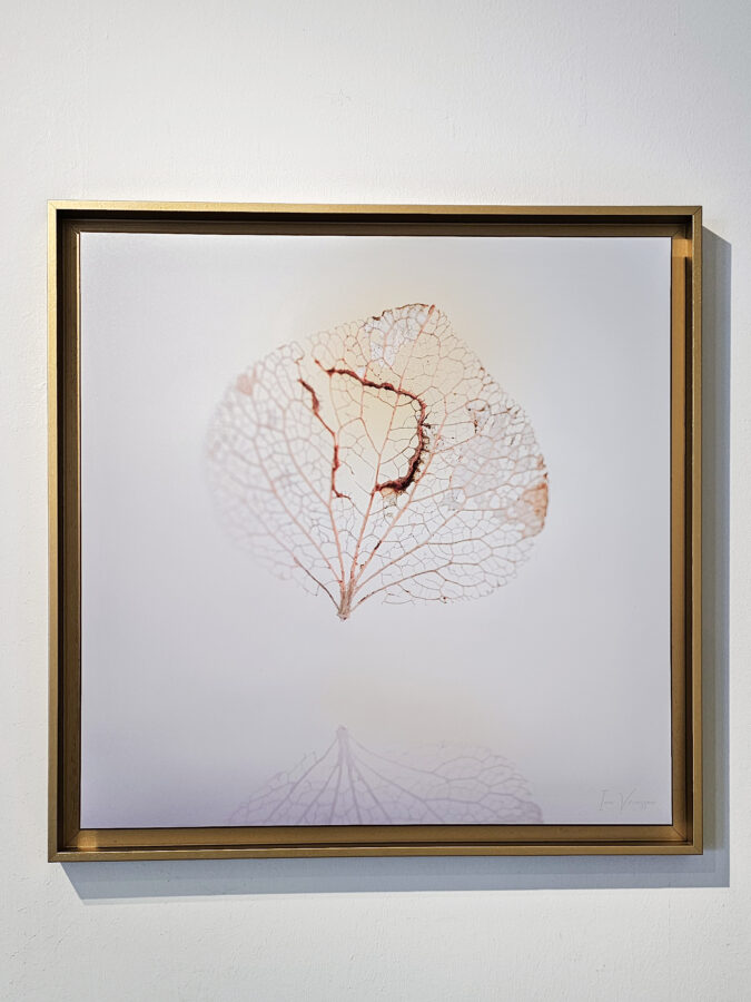 Kunst: Fragile van kunstenaar Ina Vrinssen