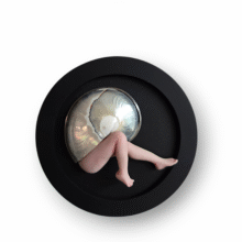 Kunst: Sassy Shell van kunstenaar Saskia Hoeboer