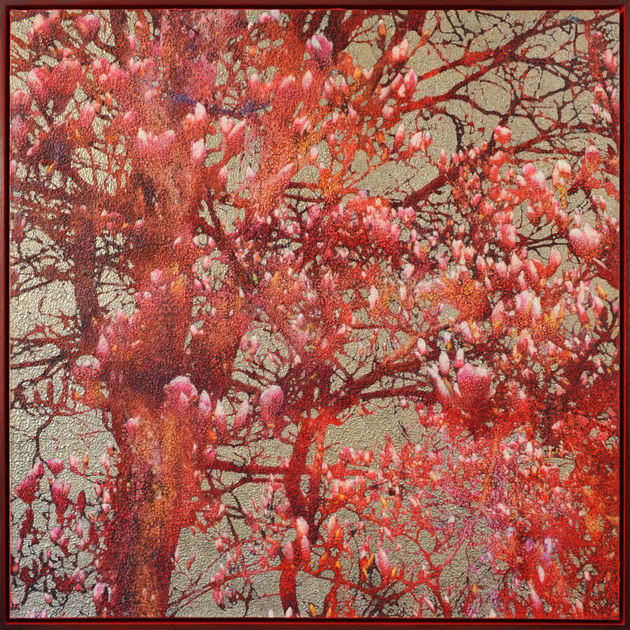 Kunst: Awakening pink and orange magnolia van kunstenaar Karin Vermeer