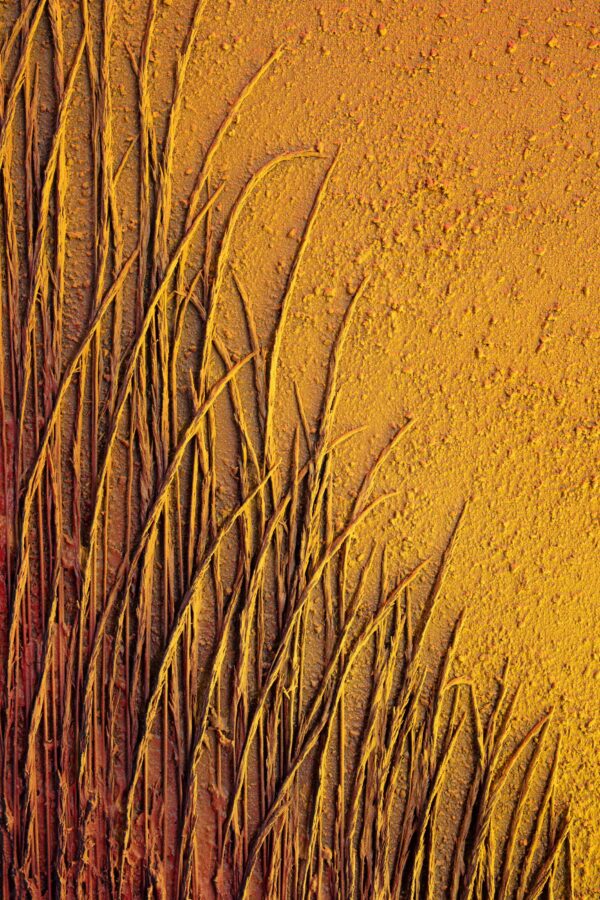 Kunst: Samsara 28.05 van kunstenaar Samuel Dejong