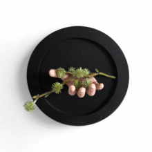 Kunst: Ontluiken van kunstenaar Saskia Hoeboer