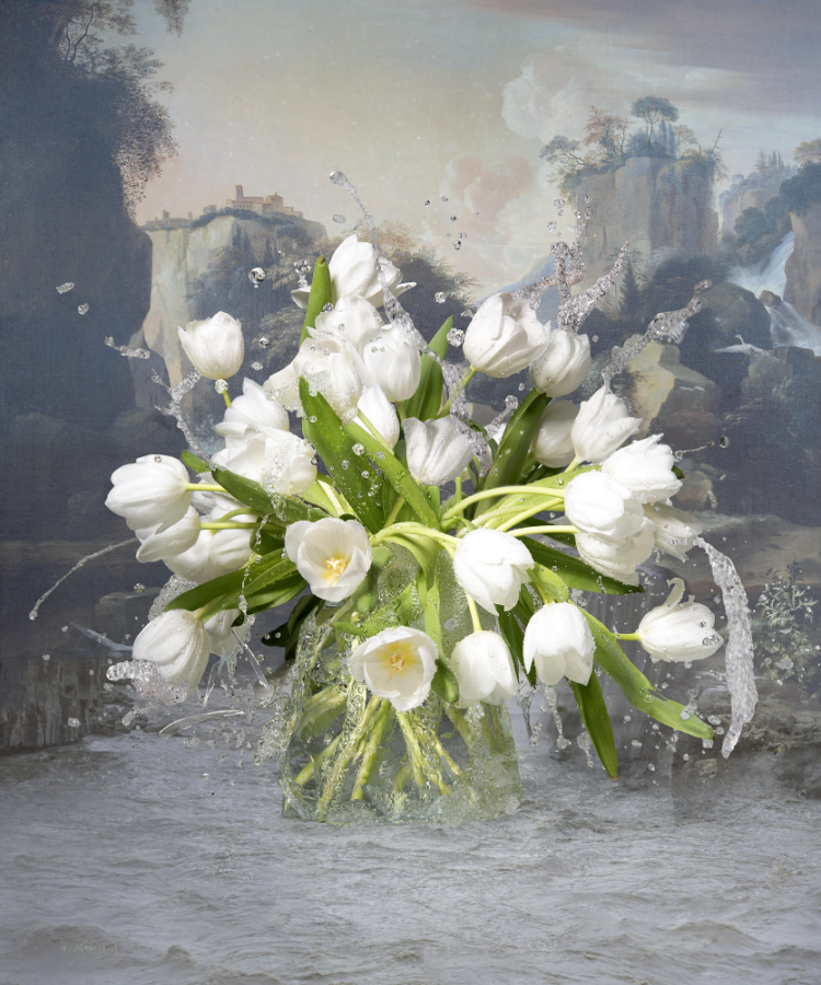 Kunst: Waterfall van kunstenaar Hans Withoos