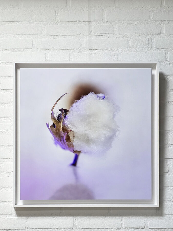 Kunst: Cottonball van kunstenaar Ina Vrinssen