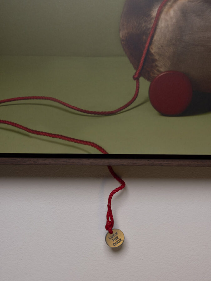 Kunst: Lucky Duck van kunstenaar Kaat Stieber