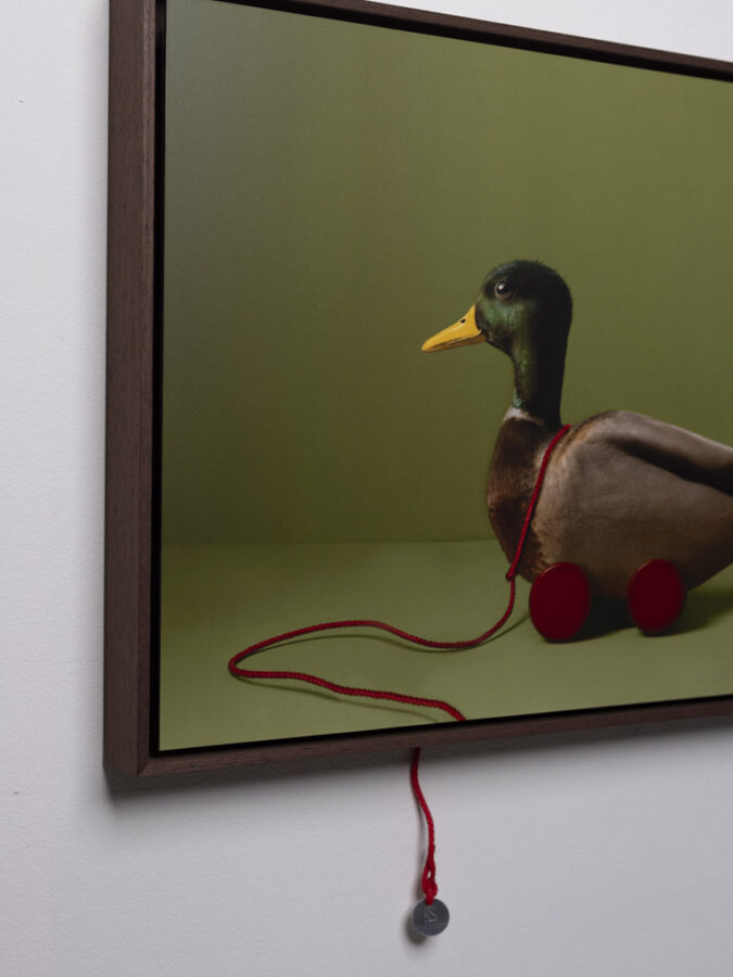 Kunst: Lucky Duck van kunstenaar Kaat Stieber