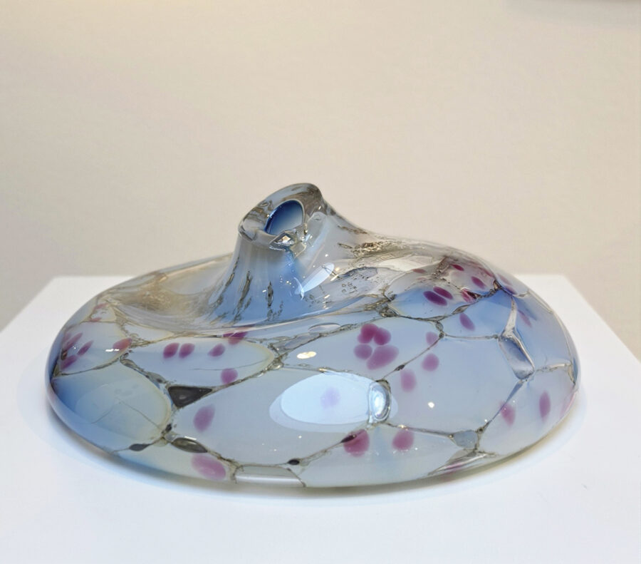 Kunst: Cnidarians with a Touch of Pink van kunstenaar Fons Uytdehaag