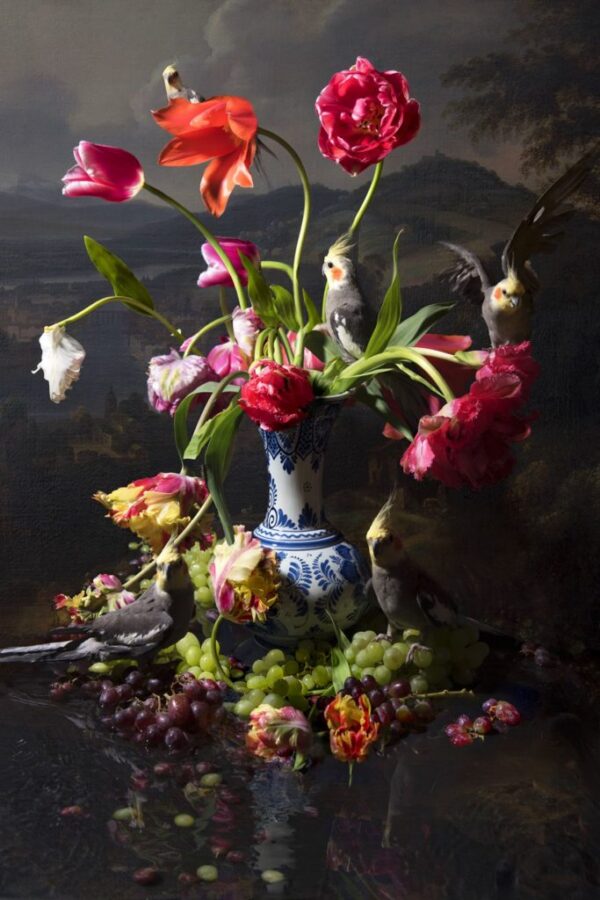 Kunst: Crested Bird van kunstenaar Hans Withoos