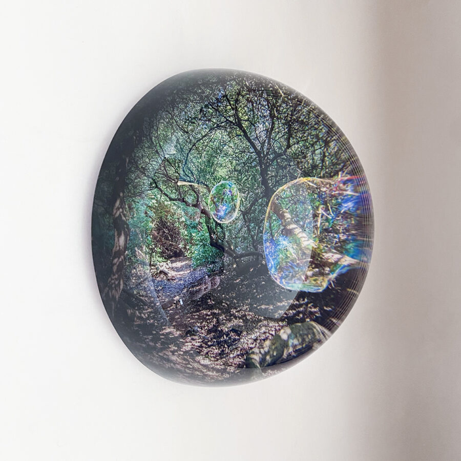 Kunst: Glass globe #17 van kunstenaar Noortje Haegens