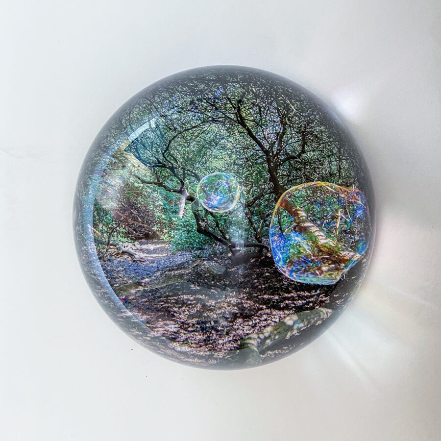 Kunst: Glass globe #17 van kunstenaar Noortje Haegens