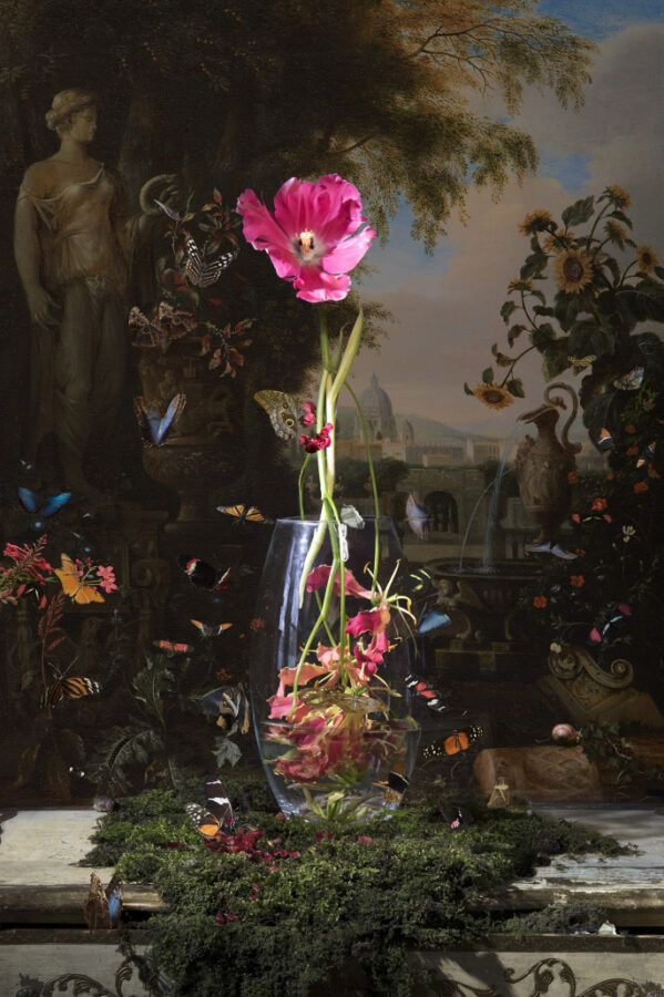 Kunst: Still life with Butterflies van kunstenaar Hans Withoos