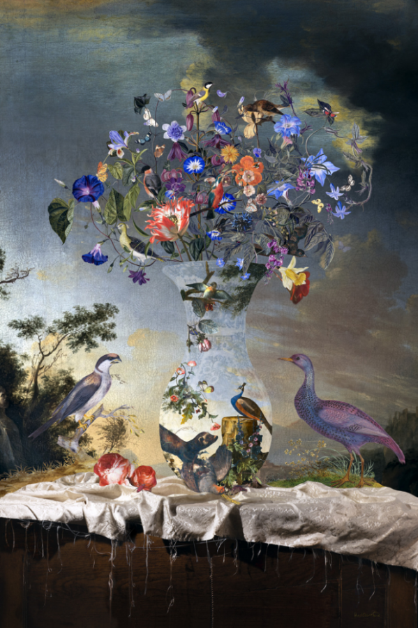 Kunst: Tales of Birds van kunstenaar Hans Withoos