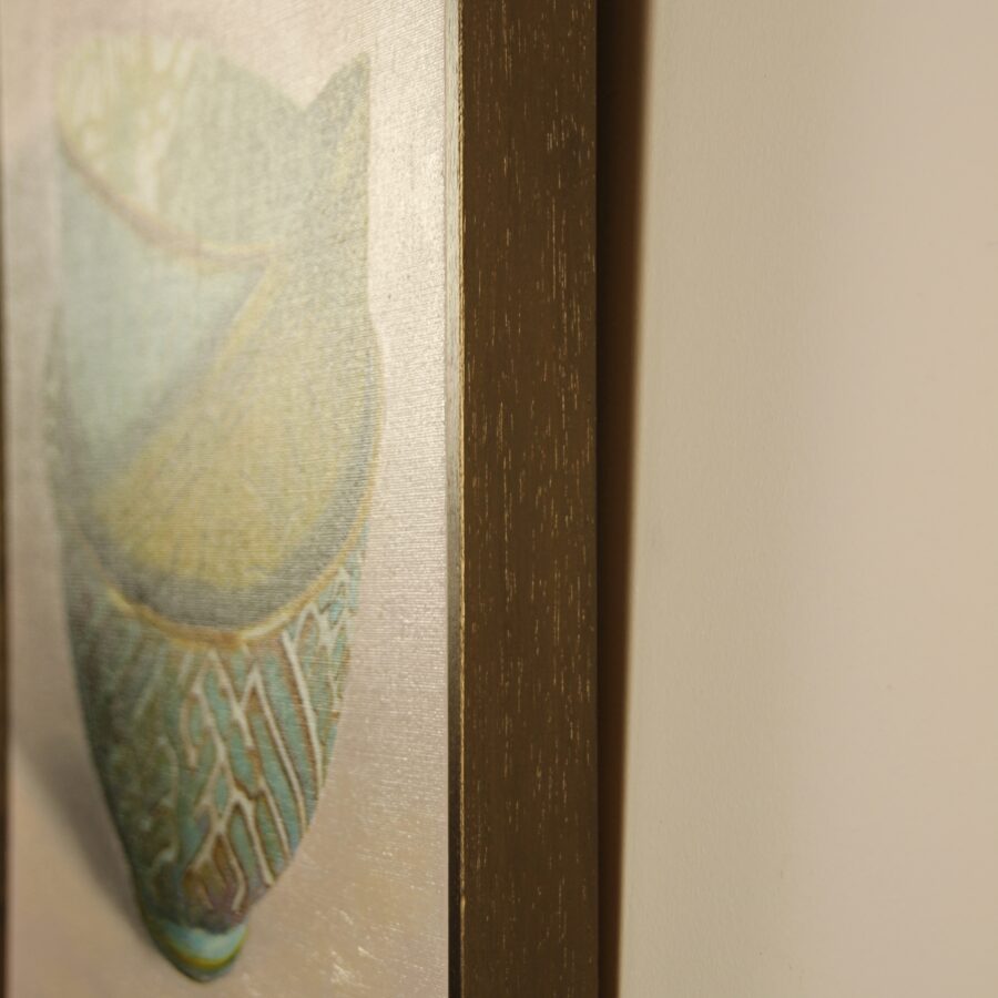 Kunst: Javea – patterns in mother of pearl van kunstenaar Minke Buikema