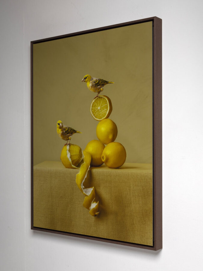 Kunst: Lemons van kunstenaar Kaat Stieber