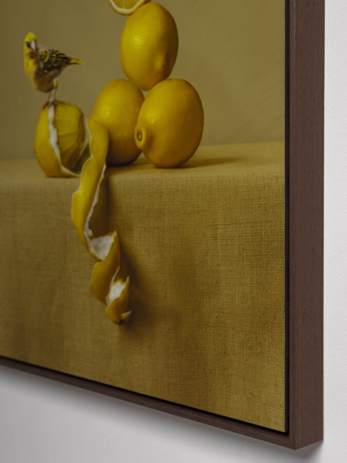 Kunst: Lemons van kunstenaar Kaat Stieber