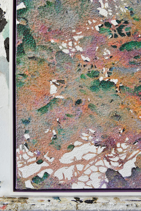 Kunst: Morning Bloom van kunstenaar Karin Vermeer