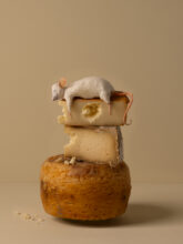 Kunst: Cheesy van kunstenaar Kaat Stieber