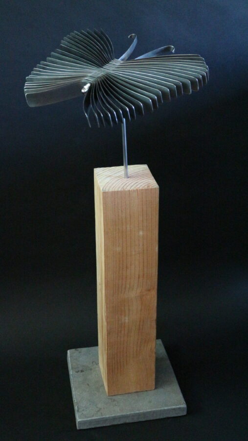 Kunst: Butterfly van kunstenaar Bert Verboon