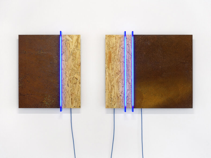 Kunst: Circle of Life van kunstenaar Geeske van de Molengraft