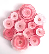 Kunst: Blush Reverie van kunstenaar Lotte Kloppenburg