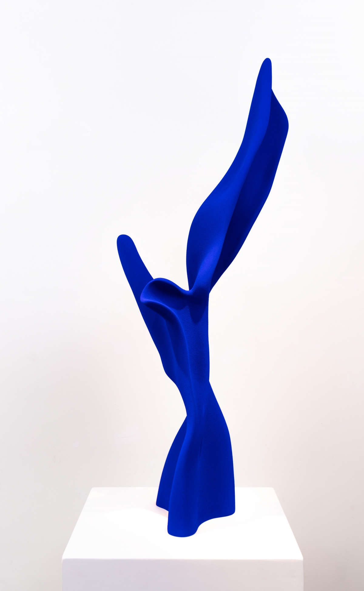 Kunst: Victory in Blue van kunstenaar Samuel Dejong